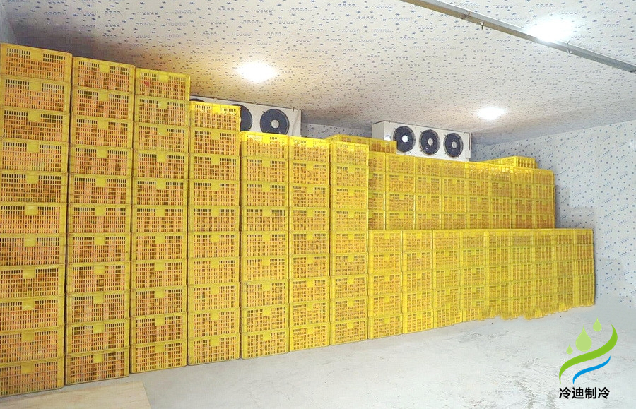 建造一個橙子冷庫需要多少錢？(圖2)